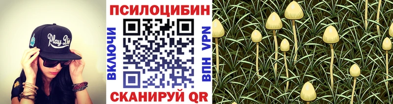 Псилоцибиновые грибы Magic Shrooms  Ряжск 